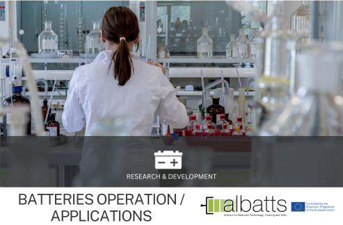 ALBATTS - Cell Preparation and Evaluation on a Lab-Scale