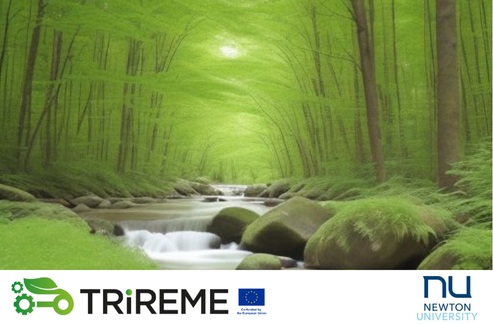 Environmental Competence for Managers