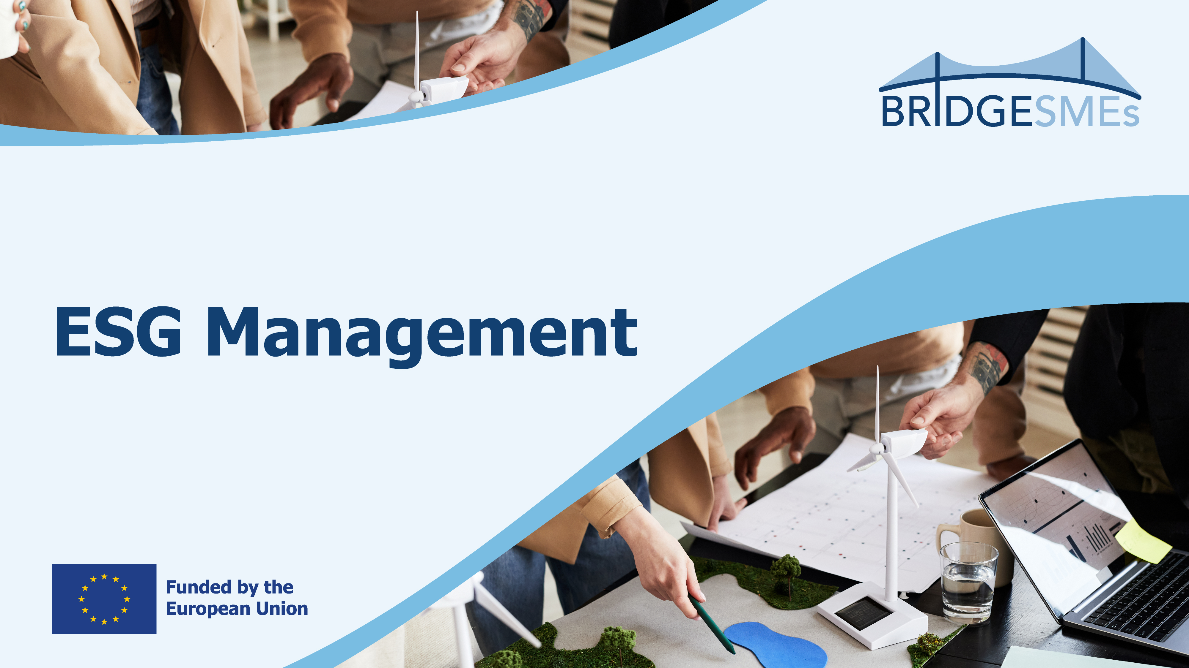 BRIDGESMEs -  ESG Management
