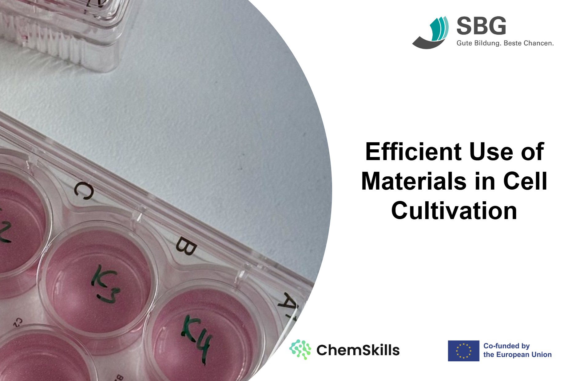 ChemSkills M3 - Efficient Use of Materials in Cell Cultivation (EN)