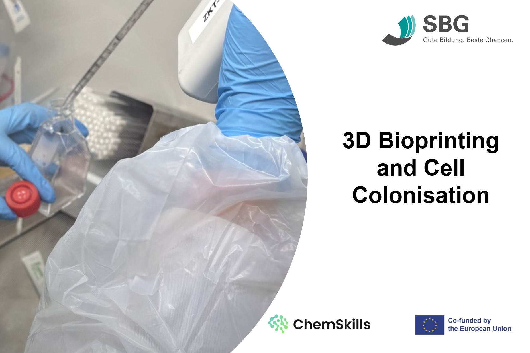 ChemSkills M4 - 3D Bioprinting and Cell Colonisation